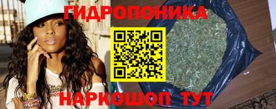 ГАЛЛЮЦИНОГЕННЫЕ ГРИБЫ Кудымкар
