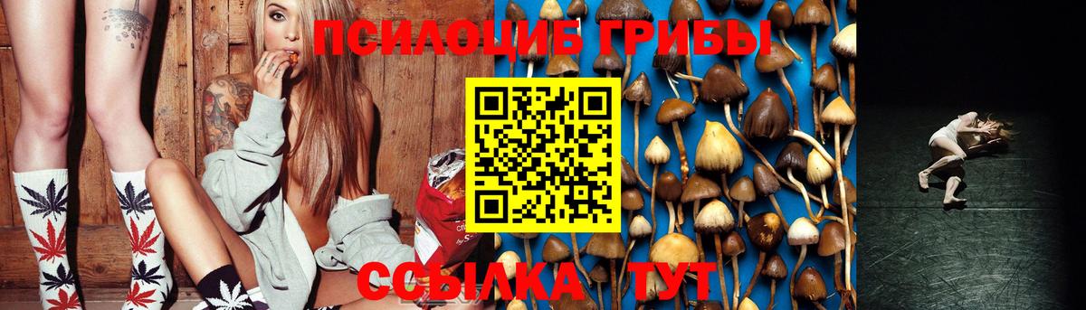 Галлюциногенные грибы Psilocybe  купить  цена  Боровичи  Вход с VPN 